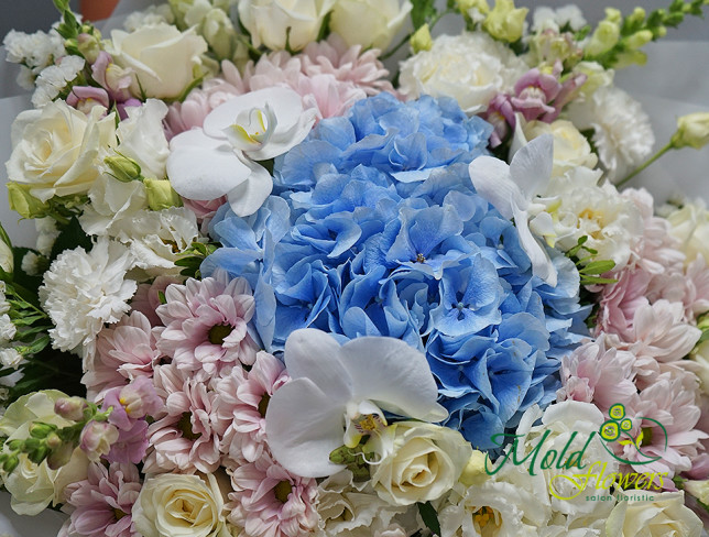 Buchet cu hortensie albastra si trandafiri albi ,,Surpriza florilor'' foto